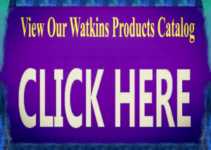 View Our Catalog