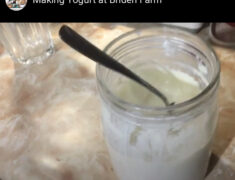 Making Yogurt at Briden Farm